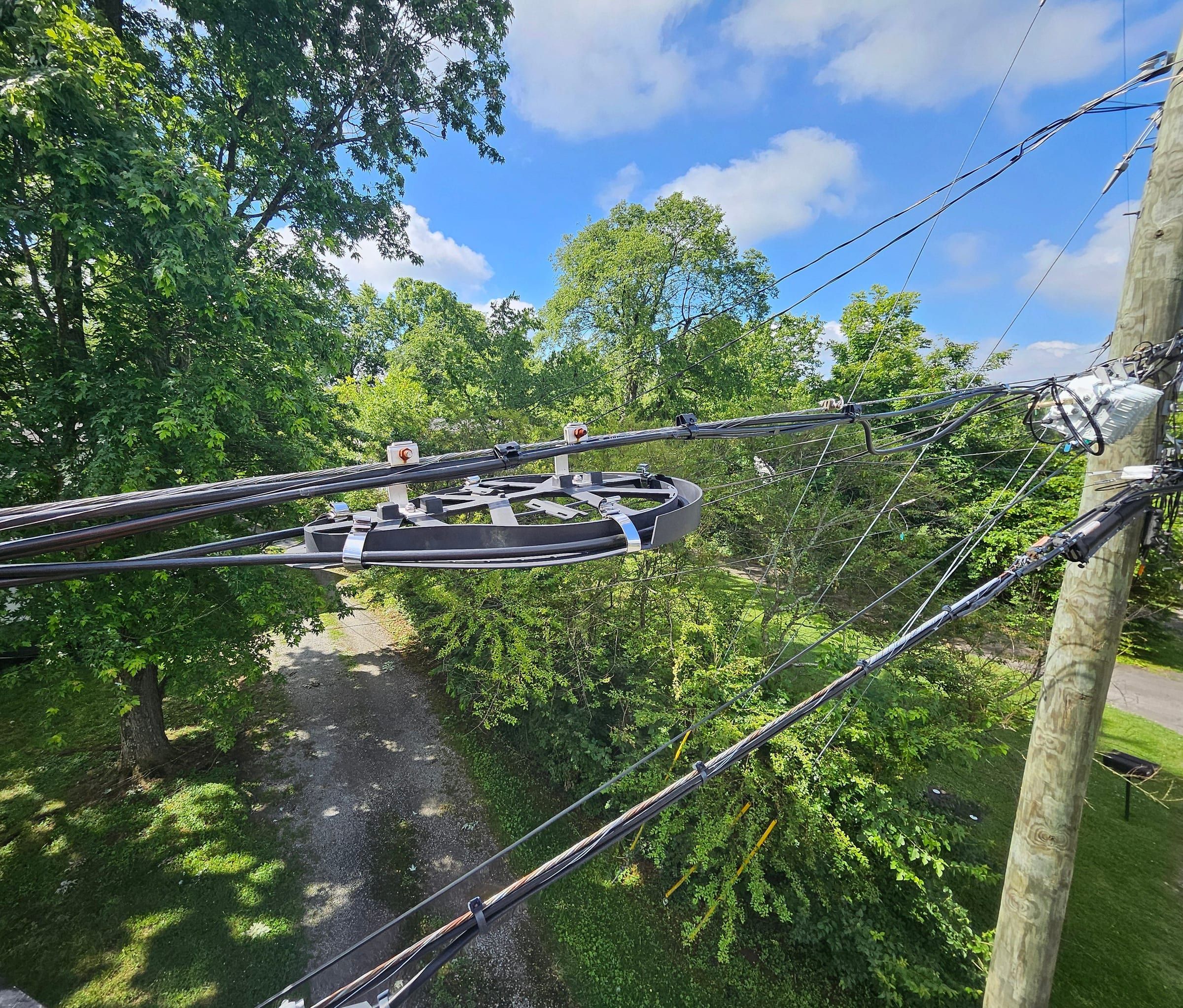 Aerial cable strand and a fiber storage loop against trees and sky, seen from the bucket